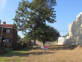 TERRENO POR CALLE JAVIER DE VIANA, ZONA RESIDENCIAL. 